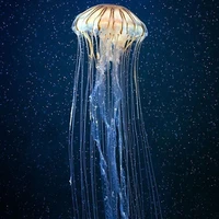 all (trừ đc ai cứ trừ)