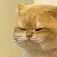 Ê tác giả ngàu lòi kìa🥸