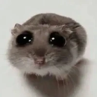 acc