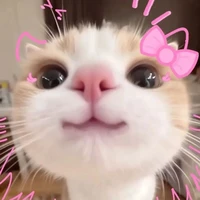 t/giả viết truyện nhạt