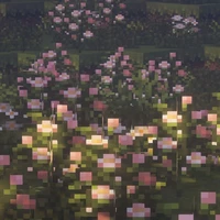 Cân mọi nhân vật