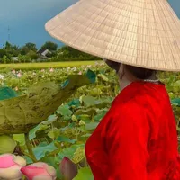 nguyễn huỳnh cẩm liên