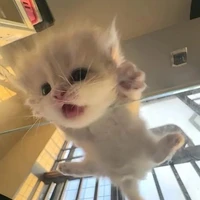 bị lười