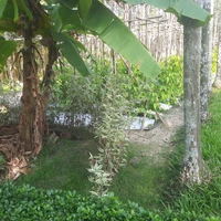 all trừ ai thì tự biết