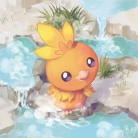 Torchic(Ray/To)
