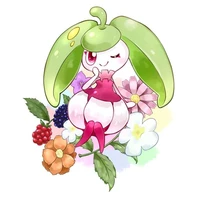 Steenee(Ray/stee)