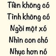 Simp chính hiệu