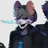 Touille