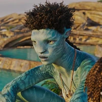 Rotxo