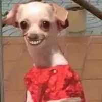 all nv có đớp có giáo dục bắt buộc 18 nă