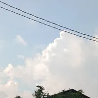 T/G
