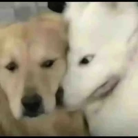 tôi éo phải hệ thống