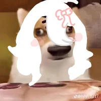 Mèo Hello Kitty💕 Chủ shop truyện