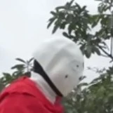 omni