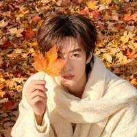Minho (Ba Shinyu)