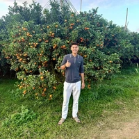 Nguyễn Hiểu Minh 