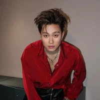 dương domic