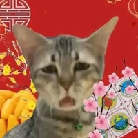 tác giả/mới ik đánh bài/