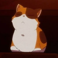 Sensei