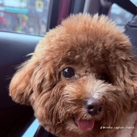 bờleeeee