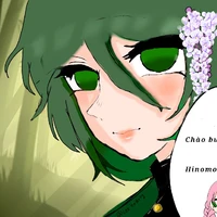 Aoyama Hinomori