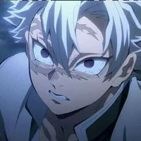 Shinazugawa Sanemi