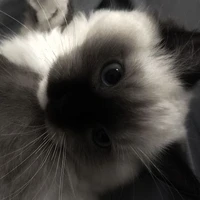 hệ thống 72 (hima)