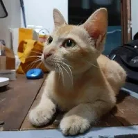 muhehehe