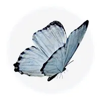 Bướm bím