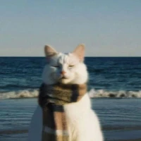 @𝑻𝒓𝒊𝒏𝒉𝑯𝒐𝒂𝑫𝒂𝒐