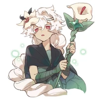 White lily