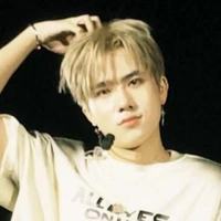 đỗ nam sơn