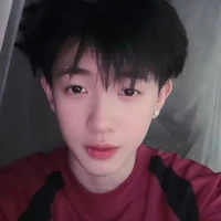 nam phụ