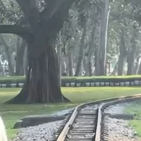 All