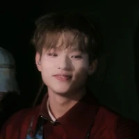 Bùi Trường Linh aka Bình Trường Lui