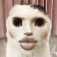 hệ thống sigmaboy🦍🐶🐮