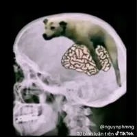 all (trừ ai thì trừ)