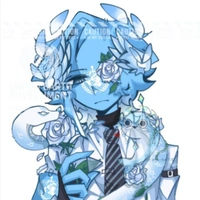 WORLD HEALTH ORGANIZATION