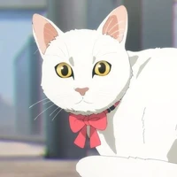 risa