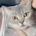 Bé Lyy
