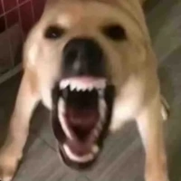 đàn em Mason chuppy