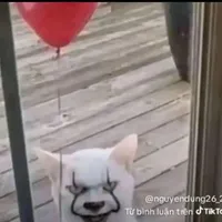 Bí mật nhỏ~