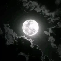 người bí ẩn