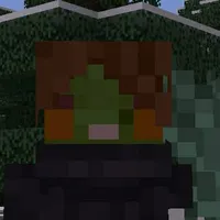 T/g không biết bơi