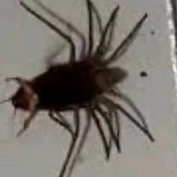 Who the fuck is this?