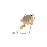 Tg