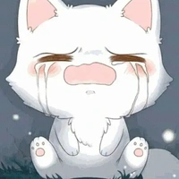 mika(mèo của hiha bc)