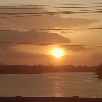 Tác giả hơi bị lười