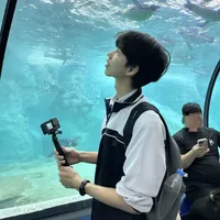 Trương Hàn Song Tử