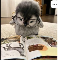 T/g phụ / Cánh Cụt đepzai 🐧